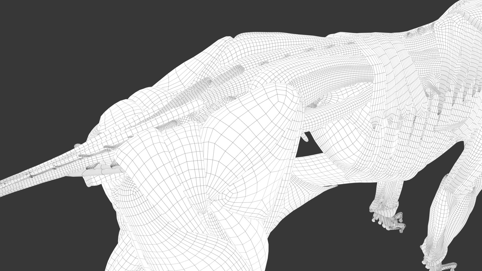 Iberian Lynx Bone and Muscle System for Dynamic simulation model https://p.turbosquid.com/ts-thumb/JY/T0IRmP/1N/wire_56/jpg/1657186580/1920x1080/fit_q87/7375472993afc37f55bb85137afdf622d6a59589/wire_56.jpg