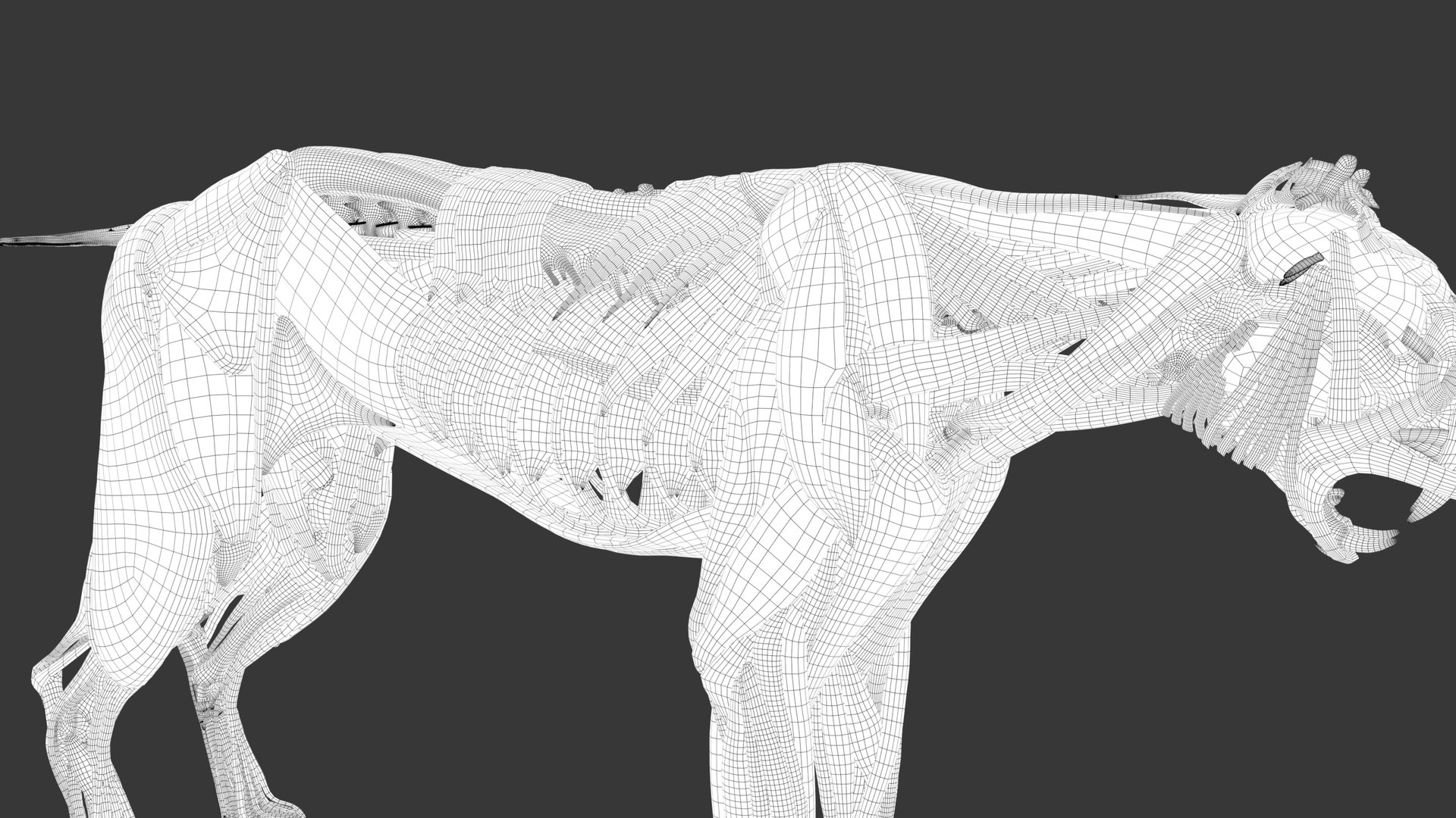Iberian Lynx Bone and Muscle System for Dynamic simulation model https://p.turbosquid.com/ts-thumb/JY/T0IRmP/8e/wire_53/jpg/1657186576/1920x1080/fit_q87/571ebb7938ec4499d87dec29e45fafad684379f7/wire_53.jpg