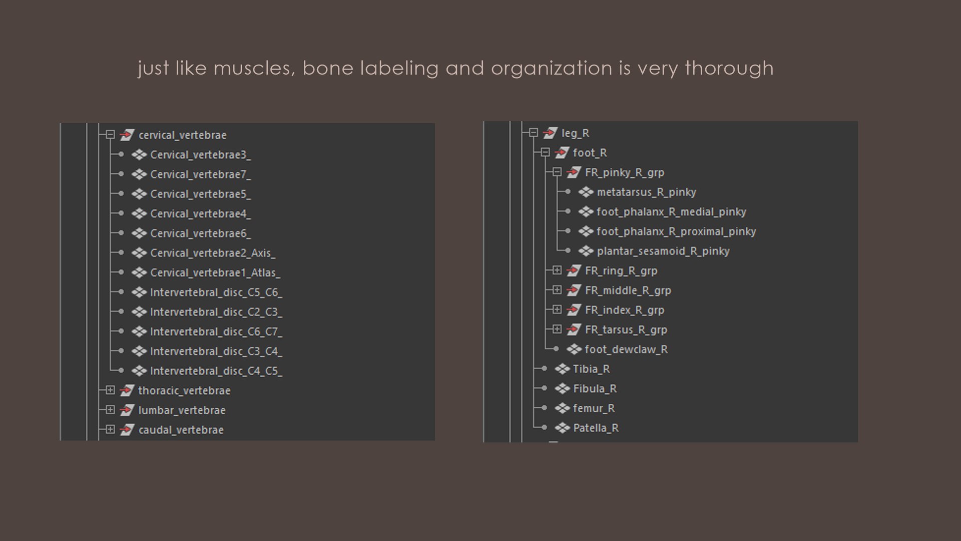 Iberian Lynx Bone and Muscle System for Dynamic simulation model https://p.turbosquid.com/ts-thumb/JY/T0IRmP/Bf/muscle_bone_47b/jpg/1657186566/1920x1080/fit_q87/ab2e99f0d4ce38799b023aa0477ffa693c18f294/muscle_bone_47b.jpg