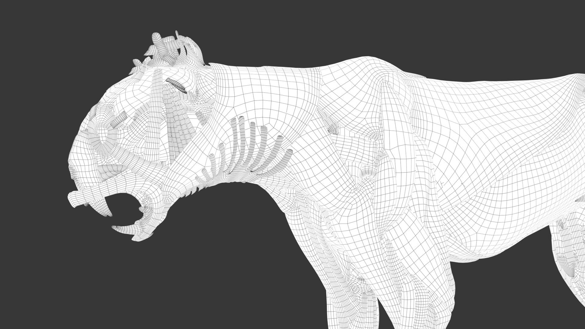 Iberian Lynx Bone and Muscle System for Dynamic simulation model https://p.turbosquid.com/ts-thumb/JY/T0IRmP/Bh/wire_45/jpg/1657186570/1920x1080/fit_q87/ee90ae268def76d2b2d2f096403a24738975eb58/wire_45.jpg