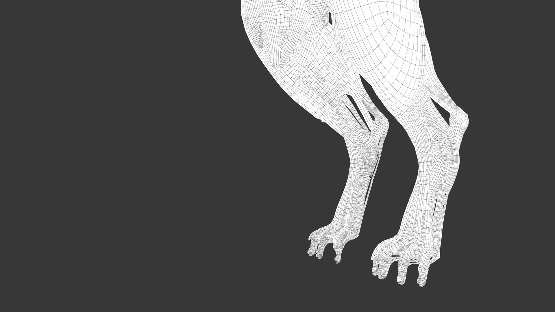 Iberian Lynx Bone and Muscle System for Dynamic simulation model https://p.turbosquid.com/ts-thumb/JY/T0IRmP/MG/wire_51/jpg/1657186574/1920x1080/fit_q87/51101ea1c1f50e500714faa2510877ed12028d80/wire_51.jpg