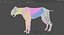 Système osseux et musculaire du Lynx ibérique pour la simulation dynamique