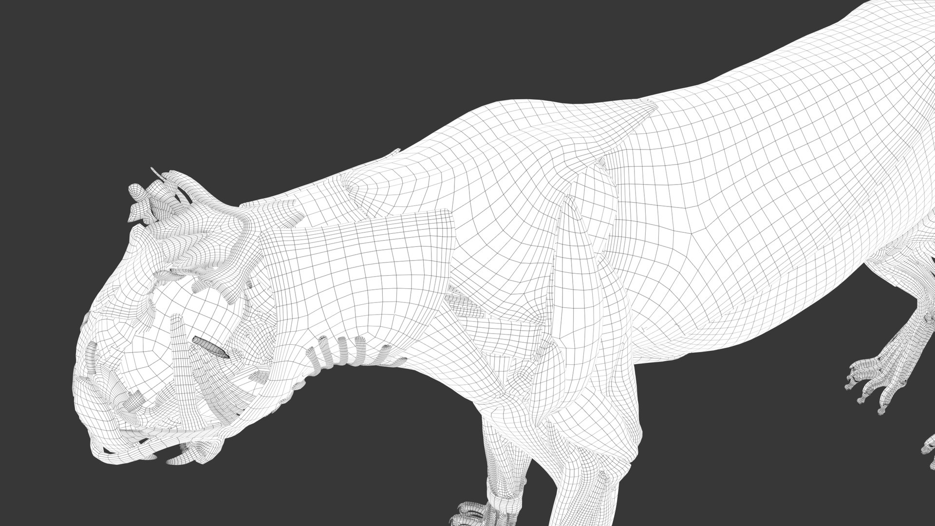 Iberian Lynx Bone and Muscle System for Dynamic simulation model https://p.turbosquid.com/ts-thumb/JY/T0IRmP/j3/wire_47/jpg/1657186572/1920x1080/fit_q87/2d62c1428fdab4c078e08c128826ea0dcca4637d/wire_47.jpg