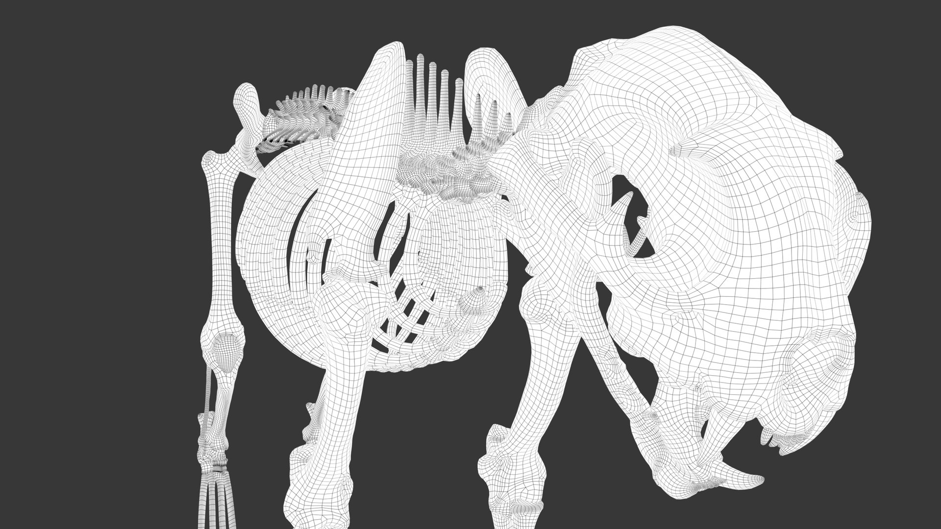 Iberian Lynx Bone and Muscle System for Dynamic simulation model https://p.turbosquid.com/ts-thumb/JY/T0IRmP/rx/wire_63/jpg/1657186585/1920x1080/fit_q87/2cf2bbddf191e62e9dd15c3fb16f82ae7e4f512b/wire_63.jpg