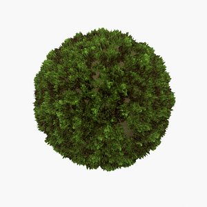 Moss material 3D model