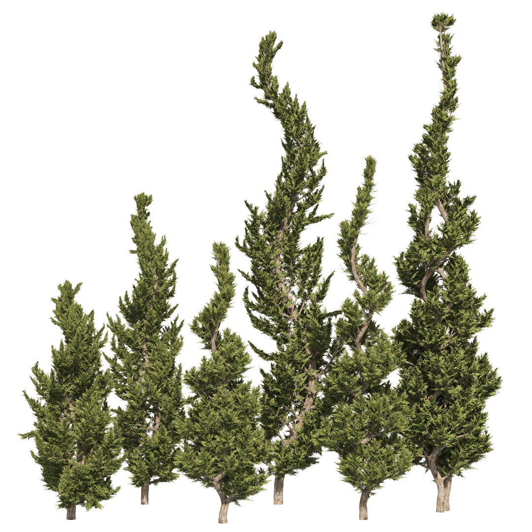 Juniper topiary Trees Juniperus 3D model https://p.turbosquid.com/ts-thumb/JY/pfqmBH/P2/01pp01/jpg/1665188429/1920x1080/fit_q87/34b84b925bb8d97be71288c39900bcf69062e9cb/01pp01.jpg