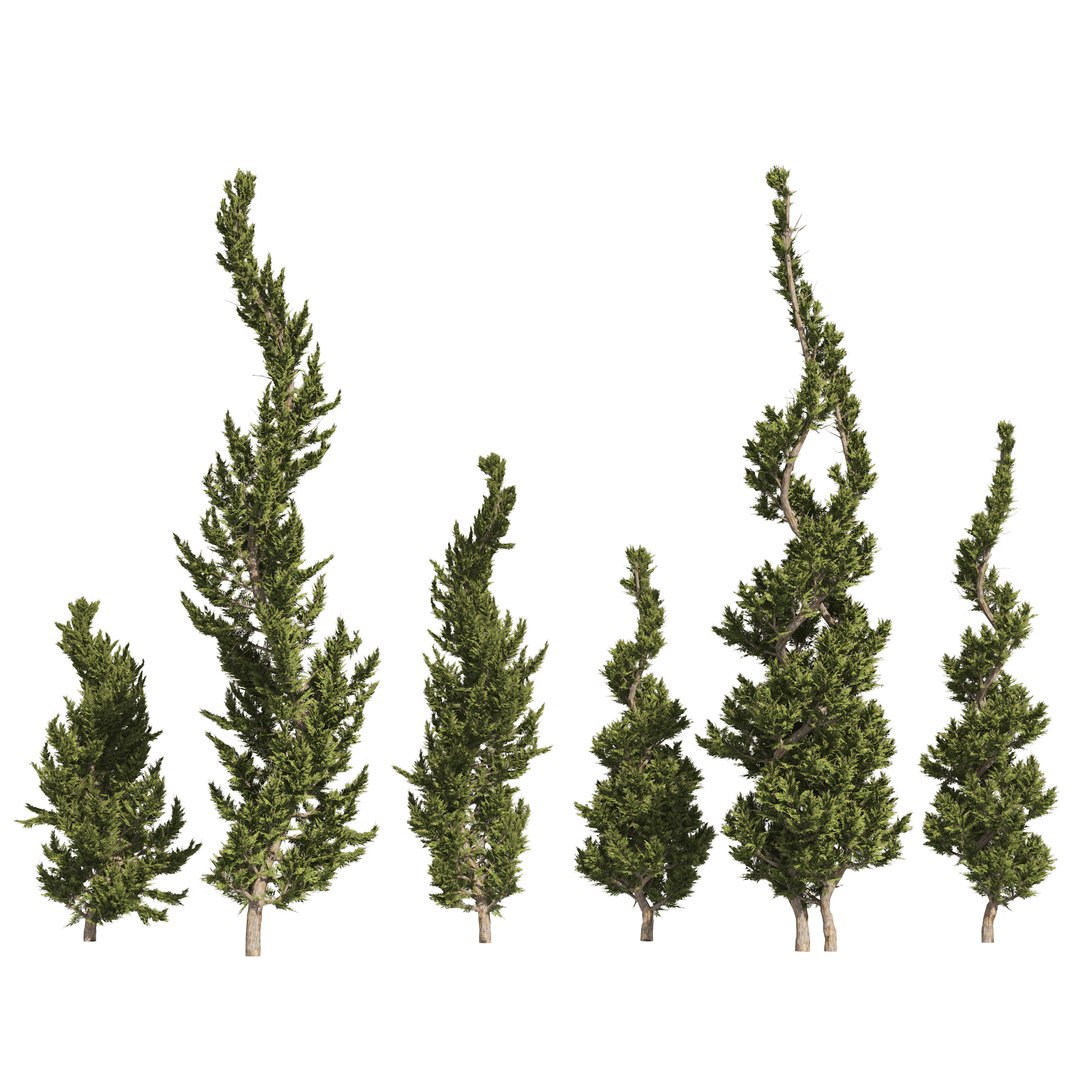 Juniper topiary Trees Juniperus 3D model https://p.turbosquid.com/ts-thumb/JY/pfqmBH/fT/02pp/jpg/1665188432/1920x1080/fit_q87/8f194bebe72f88f33367ed1949ba838da52e45d6/02pp.jpg
