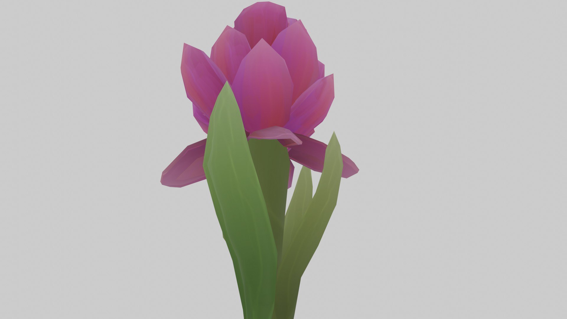 Purple Mega Petalus 3D https://p.turbosquid.com/ts-thumb/JY/sW8jlc/7X/mega_petalus_05/jpg/1699799002/1920x1080/fit_q87/a48069fd7ac9f29c1d851240729d94dab7abd391/mega_petalus_05.jpg