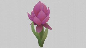 Purple Mega Petalus 3D