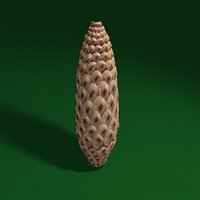 pine cone