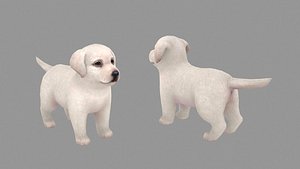 3D Cartoon pet puppy - Labrador - baby dog model