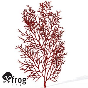 3d model of xfrogplants red sea fan