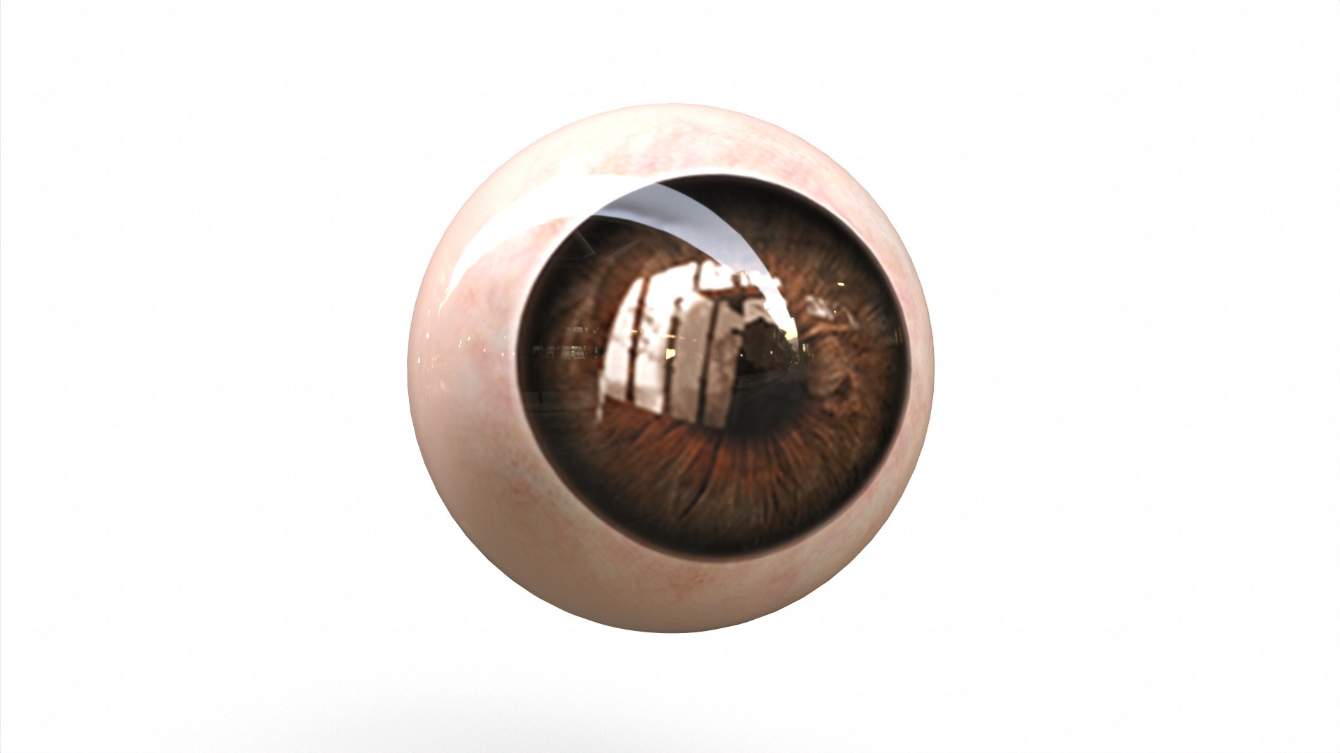 Human Eye Model - TurboSquid 1877251