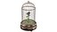 Birdcage Music Box