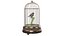 Birdcage Music Box