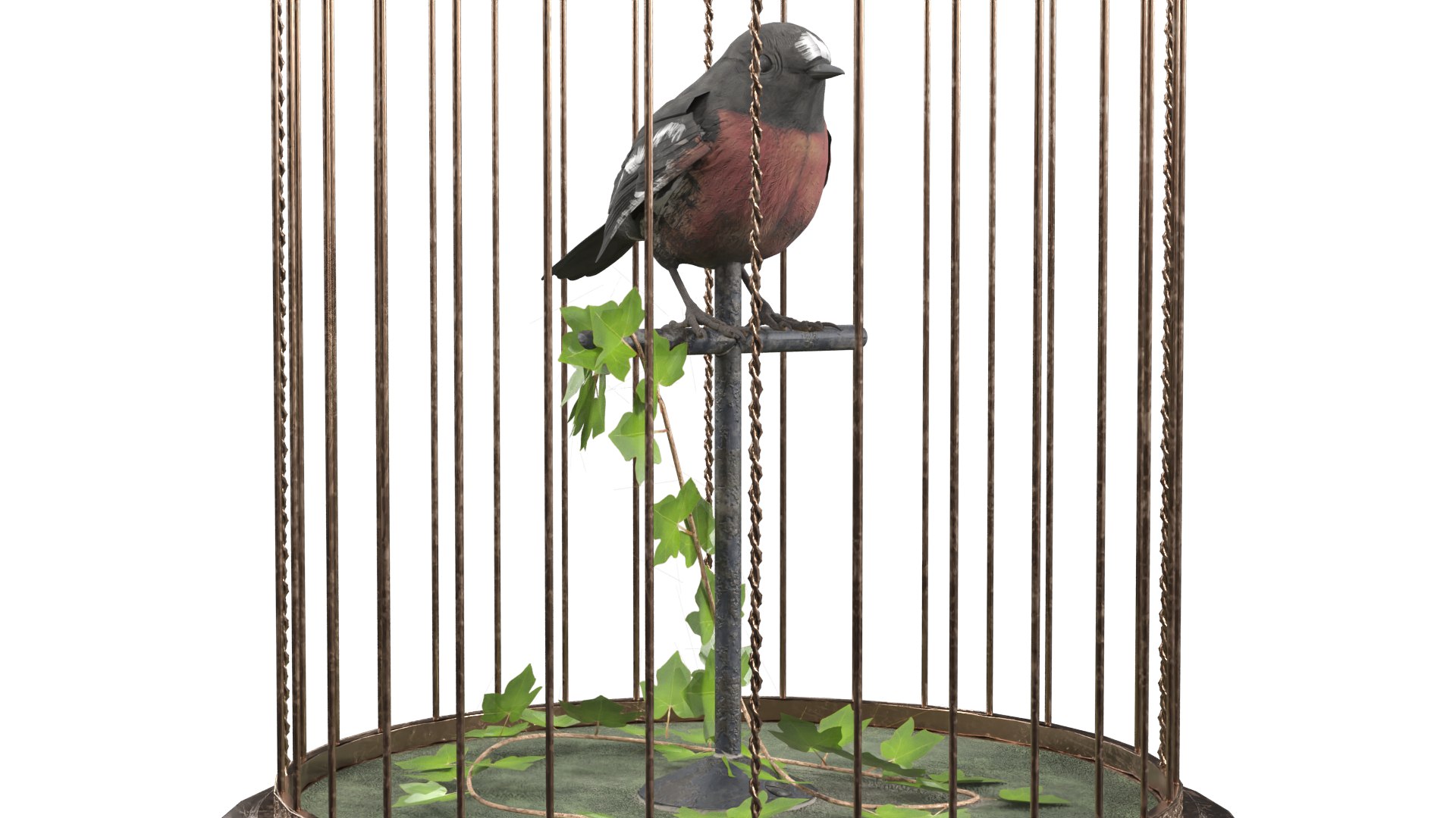 Birdcage Music Box model https://p.turbosquid.com/ts-thumb/JZ/Wla3uT/Rz/birdsong_musical_cage_010/png/1776345241/1920x1080/fit_q87/3bf987fbba7555bc894b0a88484f91b5d7c192e1/birdsong_musical_cage_010.jpg