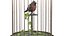 Birdcage Music Box