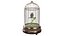 Birdcage Music Box