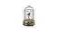 Birdcage Music Box