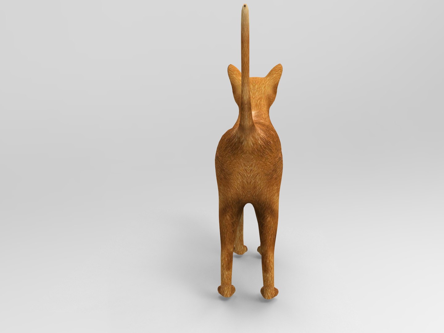 cat rigged 3d model