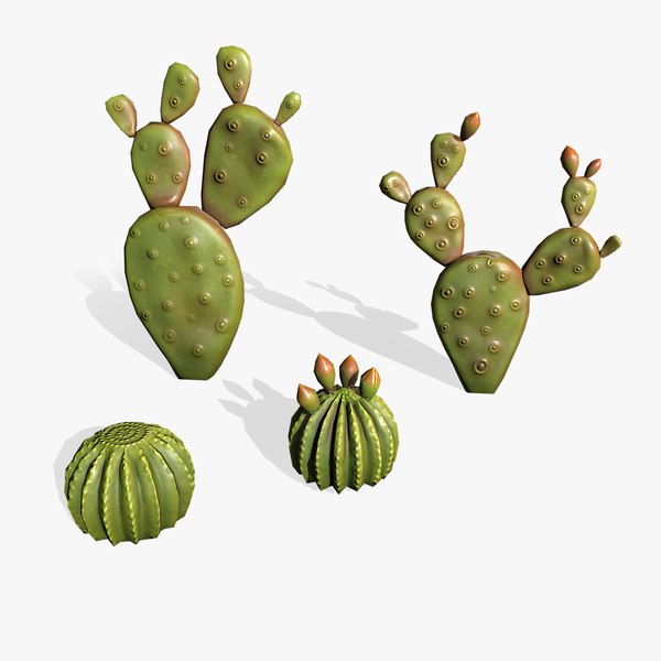 3D model Stylized cactus small