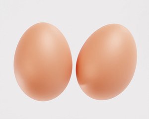 Egg model 3D model