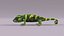 chameleon lizard 3d model