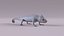 chameleon lizard 3d model