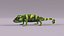 chameleon lizard 3d model
