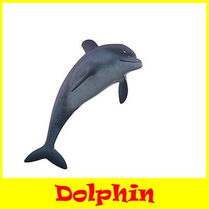 Dolphin