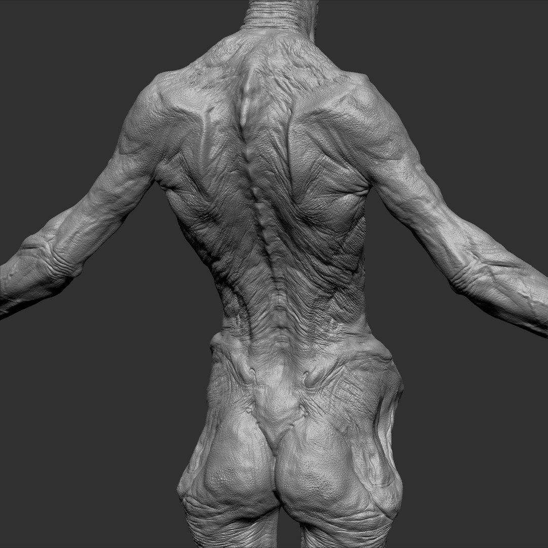 Alien Monster Body 3d Model