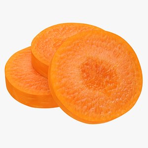 realistic carrot slices 3D model