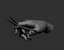 Male hand poses