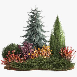 Garden of spruce thuja juniper and barberry 1173 3D model