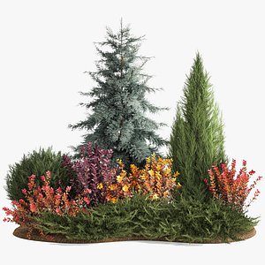 Garden of spruce thuja juniper and barberry 1173