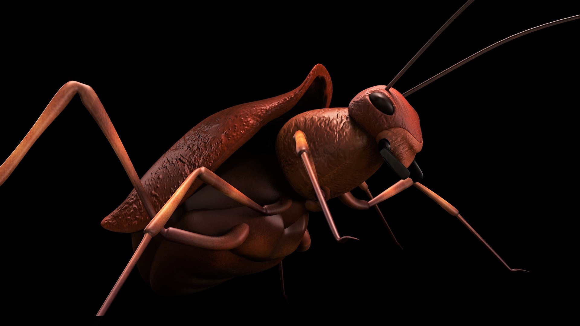 rigged bug insect 3d model