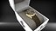 Louis Moinet Meteoris