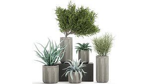 3D pot plants concrete