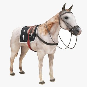 3D Horse White With Saddle