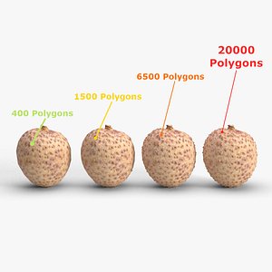 Lychee 001 3D model