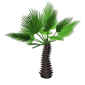 palm 3d 3ds