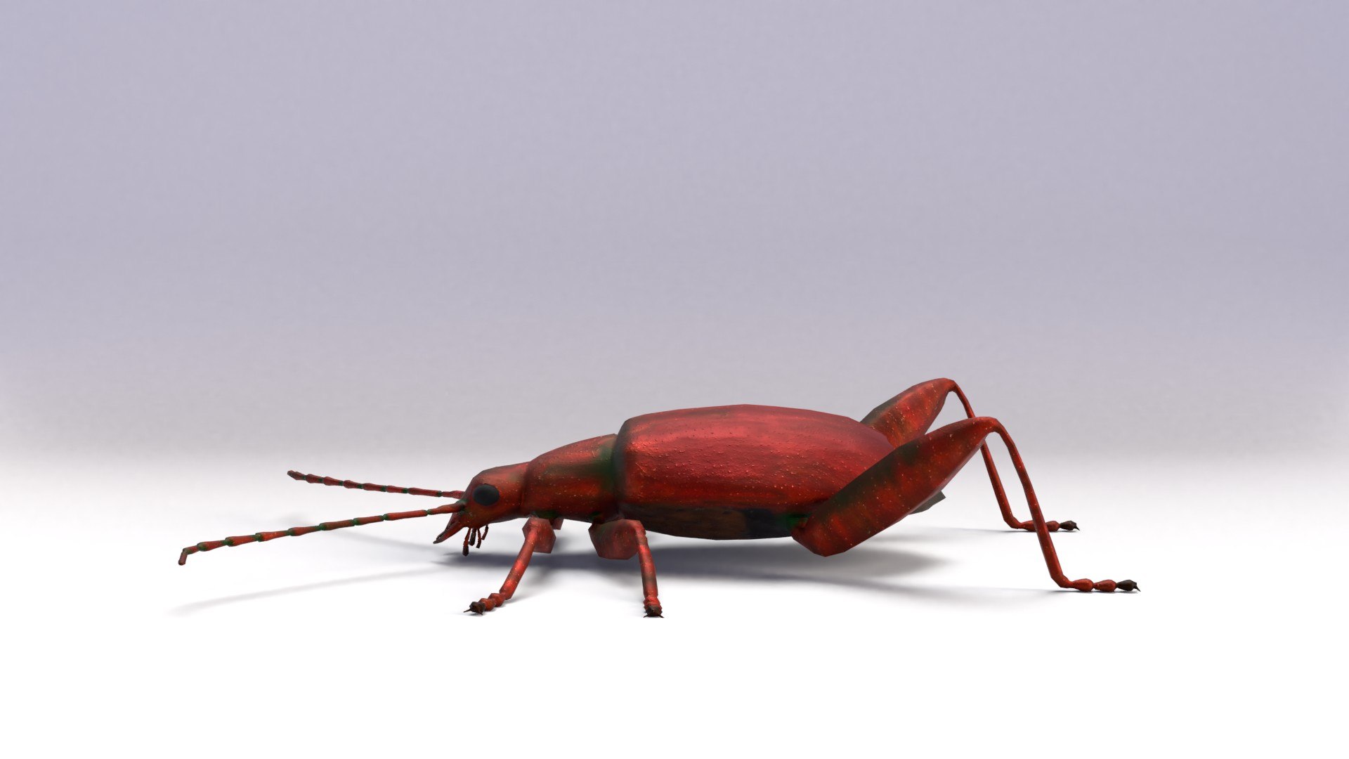 Beetles Bundle 3D Model - TurboSquid 1714177