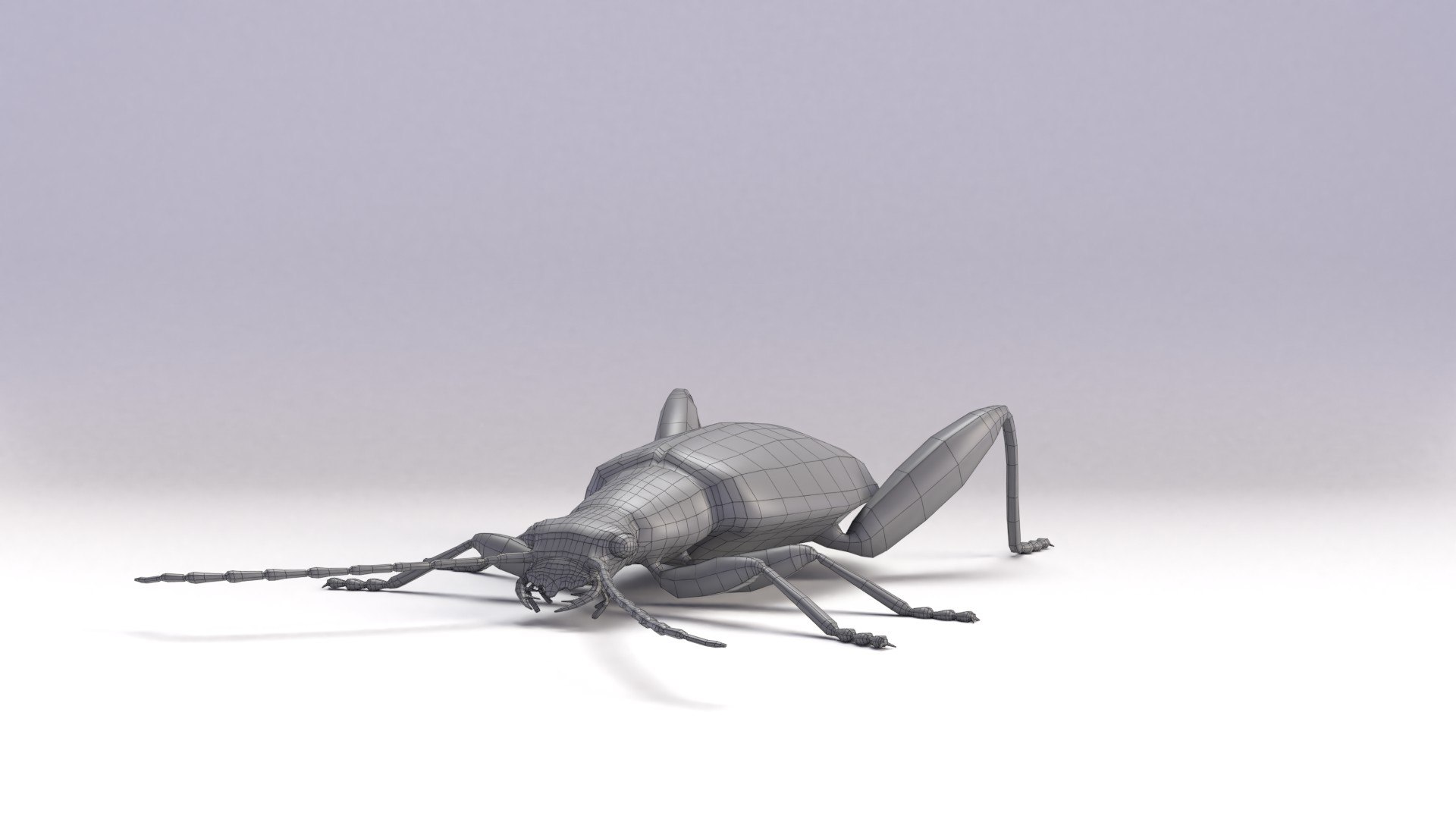 Beetles Bundle 3D Model - TurboSquid 1714177