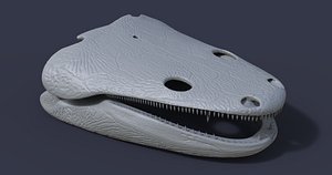 skull metoposaurus diagnosticus 3D model