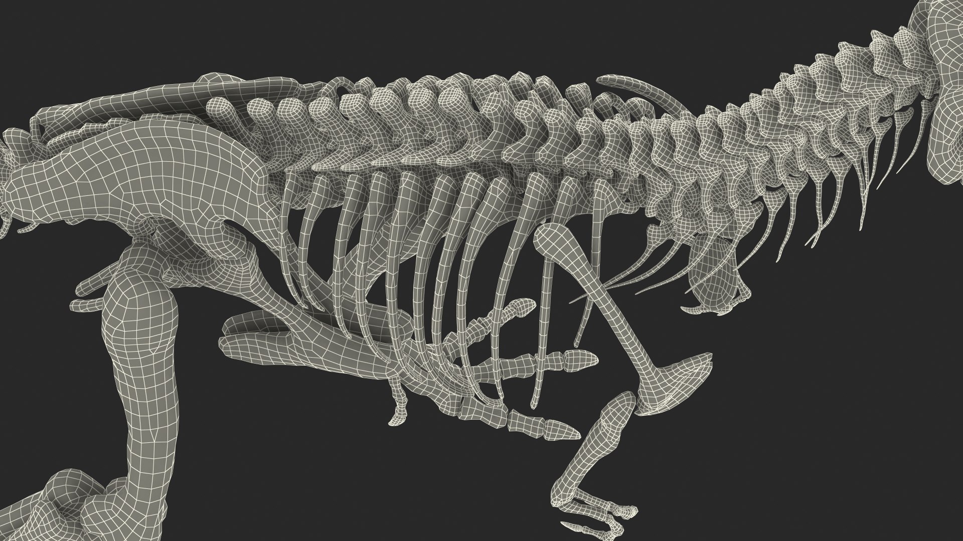 3D tyrannosaurus rex skeleton fossil model - TurboSquid 1483912