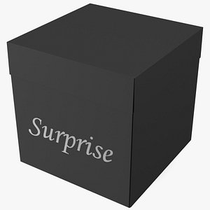 3D Black Cardboard Gift Box