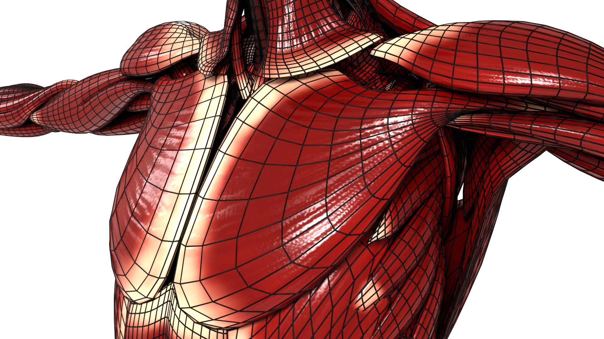 FemaleFullAnatomy 3D https://p.turbosquid.com/ts-thumb/Jb/gAuq4E/G3/female_v10/png/1692868682/1920x1080/fit_q87/49306f5bb084d010e72a795d846a8399db308b3f/female_v10.jpg