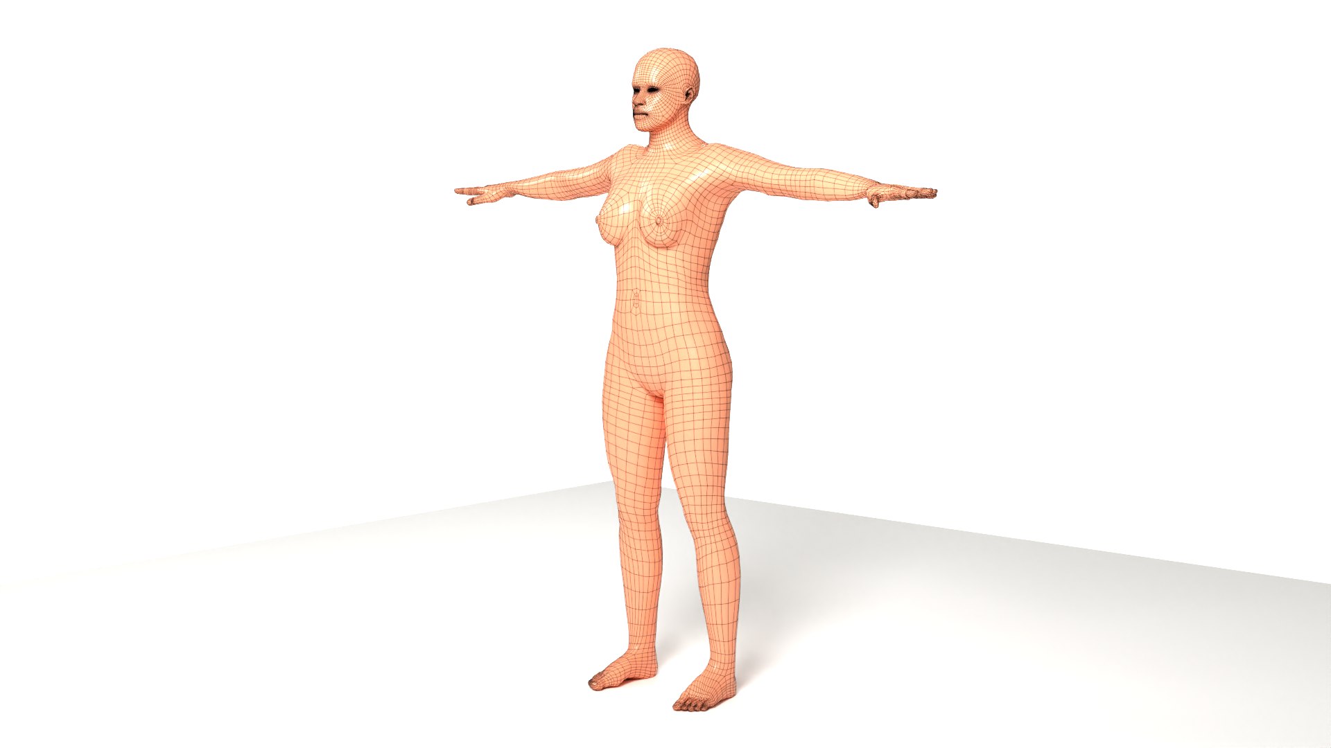 FemaleFullAnatomy 3D https://p.turbosquid.com/ts-thumb/Jb/gAuq4E/lW/female_v14/png/1692868686/1920x1080/fit_q87/d3e8b492737e3fa972405e353b5651c74aefa6ee/female_v14.jpg