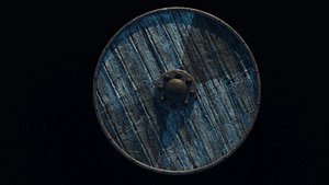 Viking Shield Nr 3 3D
