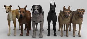 6 Dog Pack - Rigged